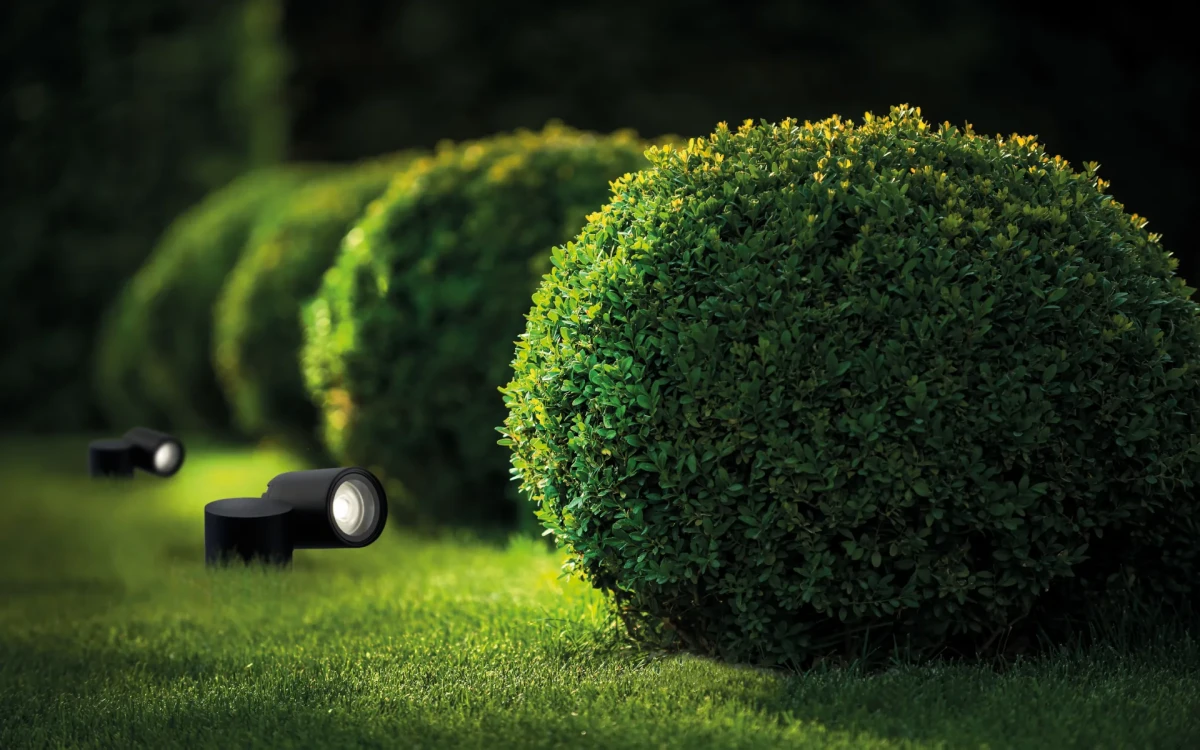 Comment effectuer efficacement le montage et l'installation de l'éclairage dans le jardin ?