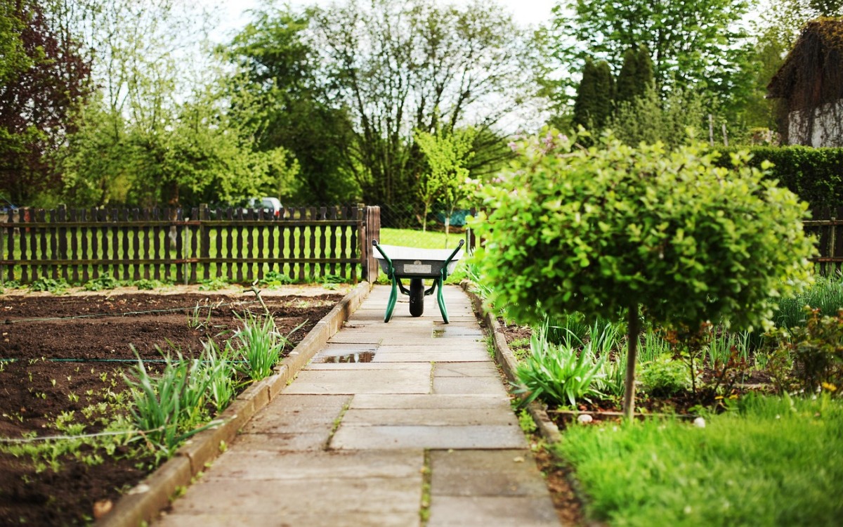 Planification de l'éclairage de jardin ou de terrasse