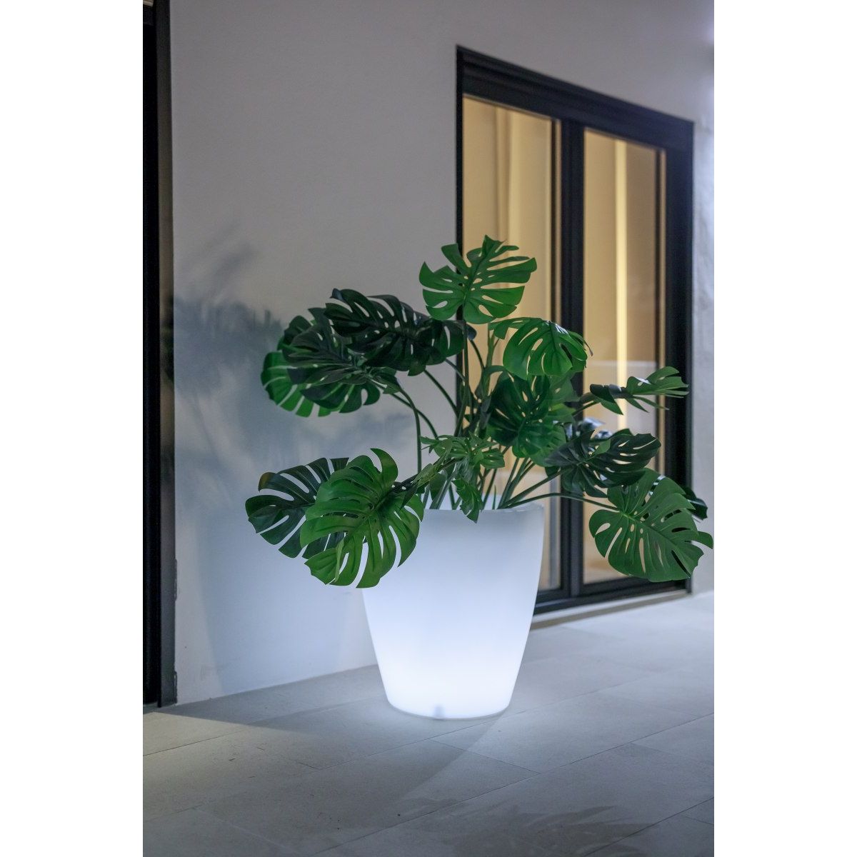New Garden-VIOLETA-3281-NGR3281
