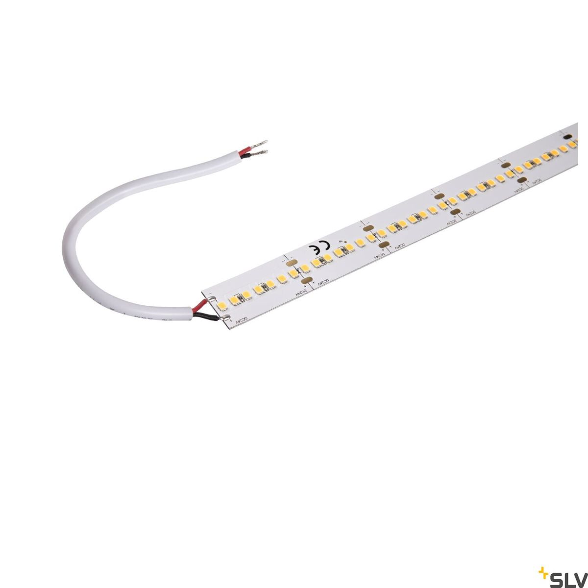 SLV-GRAZIA-1004721-SPL1004721