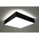 SL.0139_HORUS_Sollux