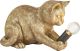 107389_Kitten_Endon