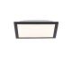 14740-18_FLAT_Paul Neuhaus