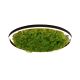 15392-66_GREEN RITUS_Paul Neuhaus