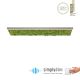 15623-66_GREEN KNUT_Paul Neuhaus