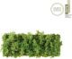 15637-66_GREEN CARL_Paul Neuhaus