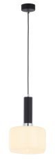 1861_VANES_Jupiter