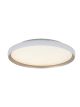 25185_CEILING LED LAMP_Zambelis