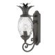 HK-PLANTATION-M-MB_Plantation_Hinkley Lighting