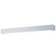 LP-7001/1C WH-93 24 CCT_Ibros_Light Prestige