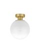 LE43653_BAJUCU_Nova Luce