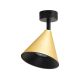 ML1120_CONE_Milagro