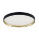 MS748500R-3-GD_BOVE_Zuma Line