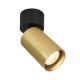 SPL-23436-1R-BK-BRSS_Nesto_Italux