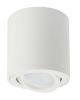 SPOT4533SLL_CARLA_SMD LED