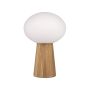 Markslojd PATER 108409 Lampe de table 1x60W/E27 IP20