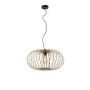 Paul Neuhaus RACOON 11409-79 Suspension lumineuse 1x60W/E27 IP20