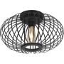 Paul Neuhaus RACOON 11410-18 Lampe de plafond 5x40W/E27 ip20