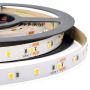 Zambelis LED STRIP LS32 Ruban LED 4000K IP20