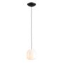Aldex FLASK ORCHID S 8500G1_S Suspension lumineuse 1x10W/E14