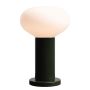 Aldex FLO MOSS S 7000B26_S Lampe de table 1x10W/E14