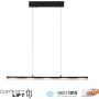 Paul Neuhaus NELE 12288-18 Suspension lumineuse 1x24W/LED 3000k 2900lm ip20