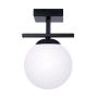 Zuma Line GLOBE 1210 Lampe de plafond 1x10W/E14 IP20