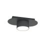 Emibig DIAZ 1437/1 Lampe de plafond 1x10W/GX53 IP20