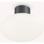 Ideal Lux CLIO 148861 Lampe de plafond 1x42W/E27 ip44