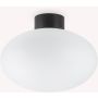 Ideal Lux CLIO 148878 Lampe de plafond 1x42W/E27 ip44