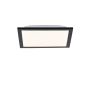 Paul Neuhaus FLAT 14740-18 Panneau LED 1x6W/LED 3000K 485LM IP20