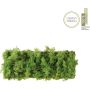 Paul Neuhaus GREEN CARL 15637-66 Applique murale 6x6,5W/LED 3000k 780lm ip20