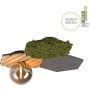 Paul Neuhaus GREEN HEX 15199-70 Lampe de plafond 1x5W/G9 ip20