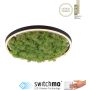 Paul Neuhaus GREEN RITUS 15391-66 Lampe de plafond 1x20W/LED 3000k 630lm ip20