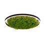 Paul Neuhaus GREEN RITUS 15392-66 Lampe de plafond 1x28W/LED 3000k 960lm ip20