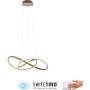 Paul Neuhaus MARIA 15402-60 Suspension lumineuse 1x29,5W/LED 3000k 3250lm ip20