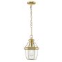 Cosmolight WHITLEY P01064AU Suspension lumineuse 1x60W/E27 ip23