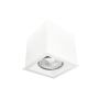 Antigo Cage 1079 Spot en saillie 1x10W/GU10 IP20