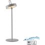 Paul Neuhaus AMAG 19310-40 Lampe de table 1x1,5W/LED 2700k 130lm ip44