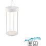 Paul Neuhaus ANSELM 19300-16 Lampe de table 1x1,5W/LED 2700k 130lm ip44