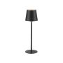 Paul Neuhaus BOTERIA 19251-18 Lampe de table 1x2,5W/LED 3000K 180lm IP20