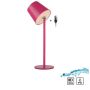 Paul Neuhaus BOTERIA 19251-87 Lampe de table 1x2,5W/LED 3000k 220lm ip54