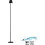 Paul Neuhaus EURIA 19252-18 Lampe sur pied 1x2,5W/LED 3000k 320lm ip54