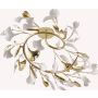 Zuma Line LEAF MX2858-6-EGN Lampe de plafond 6x3.5W/G9 ip20