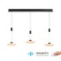 Paul Neuhaus LAUTADA 2081-18 Suspension lumineuse 3x7,5W/LED 3000K 1800LM IP20