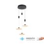 Paul Neuhaus LAUTADA 2082-18 Suspension lumineuse 3x7,5W/LED 3000K 1800LM IP20