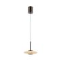 Paul Neuhaus PURE VITRUM 2053-34 Suspension lumineuse 2x10W/LED 2700K 530lm IP20