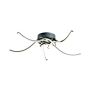 Zuma Line FOCUS 20023-5CCH Lampe de plafond 1x35W/LED 3000K|4000K|6000K 2300lm IP20
