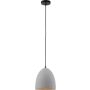 Paul Neuhaus ETON 2231-22 Suspension lumineuse 1x40W/E27 ip20