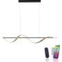 Paul Neuhaus Q-SWING 2385-13 Suspension lumineuse 1x28W/LED 2700-5000k 3100lm ip20